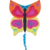 Fun Flyer Kite - Rainbow Butterfly -SkyHigh Kites 17343p RainbowButterflyAnimal