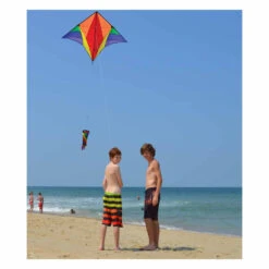 Gyro Delta Kite - Rainbow -SkyHigh Kites 33094 2