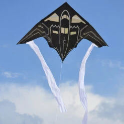 56 In. Delta Kite - Stealth Bomber 7 56 In. Delta Kite - Stealth Bomber -SkyHigh Kites 33193 1024