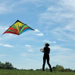 9 Ft. Delta Kite - Rainbow Orbit 7 9 Ft. Delta Kite - Rainbow Orbit -SkyHigh Kites 33201 2