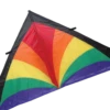 9 Ft. Delta Kite - Rainbow Bursts