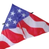 9 Ft. Delta Kite - Patriotic 2 9 Ft. Delta Kite - Patriotic -SkyHigh Kites 33275p Patriotic zoom