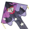 Large Easy Flyer Kite - Ned Wizard -SkyHigh Kites 44168p NedWizard LargeEZ zoom