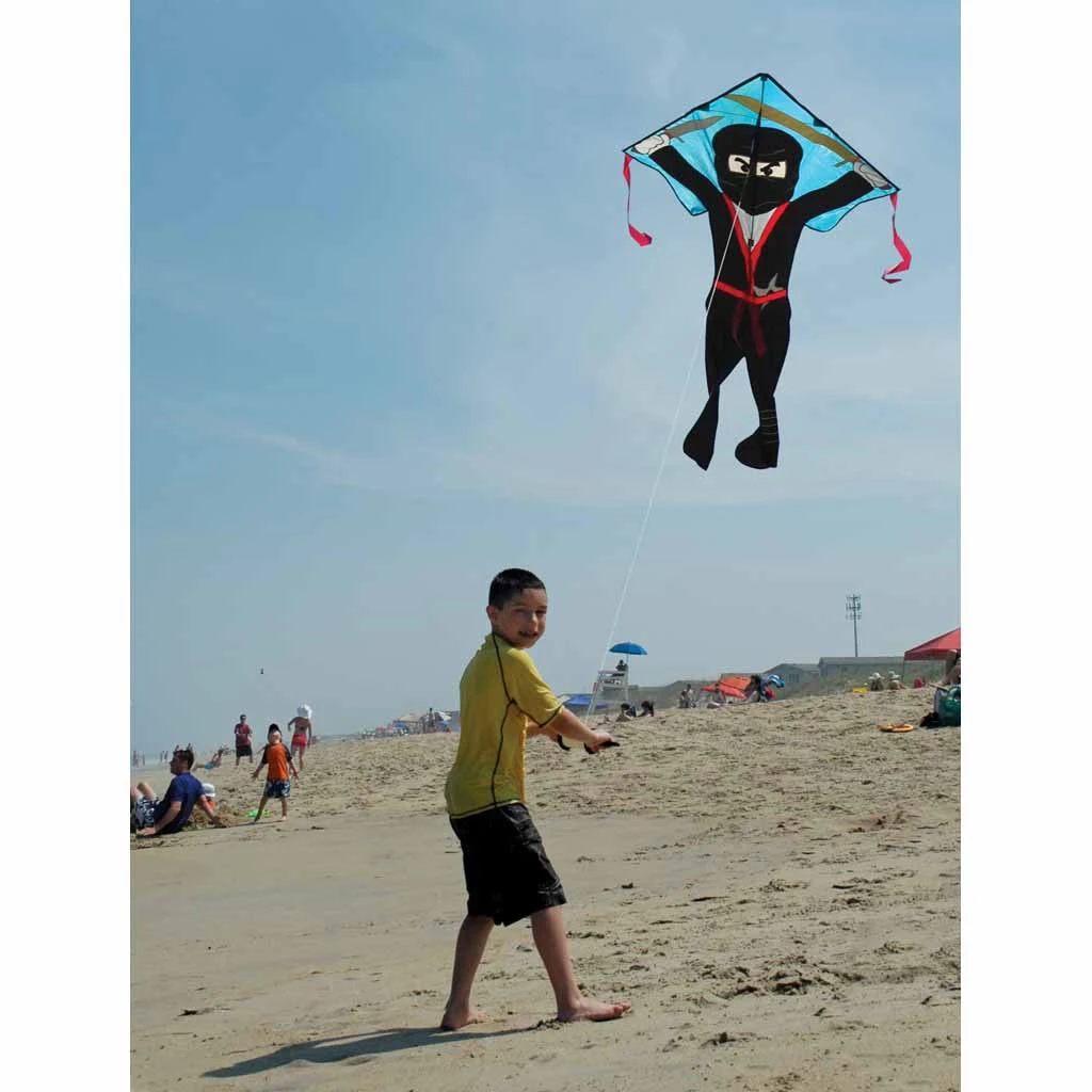 Large Easy Flyer Kite - Flying Ninja 5 Large Easy Flyer Kite - Flying Ninja - Image 3