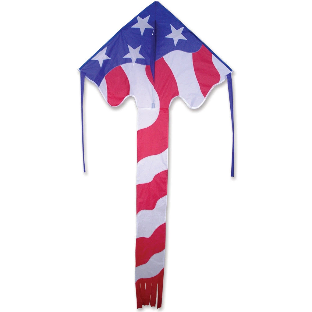 Large Easy Flyer Kite - Patriotic 4 Large Easy Flyer Kite - Patriotic - Image 2