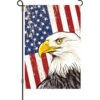 12 In. Flag - USA Eagle -SkyHigh Kites 56381p USAEagle Garden 1024