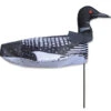 Windicator Weather Vane - Loon