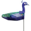 Windicator Weather Vane - Peacock