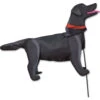 Windicator Weather Vane - Black Lab -SkyHigh Kites 71016p BlackLab Windicator 1024